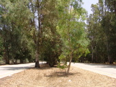 Enlarge photo 20