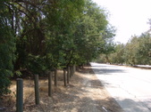 Enlarge photo 25