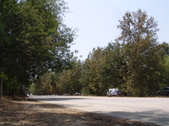 Enlarge photo 30