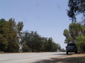 Enlarge photo 32
