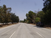 Enlarge photo 35