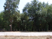 Enlarge photo 37