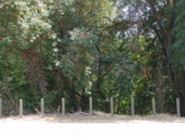 Enlarge photo 39