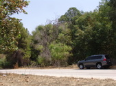 Enlarge photo 38