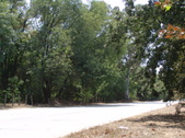 Enlarge photo 40