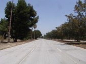 Enlarge photo 42