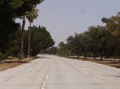 Enlarge photo 41