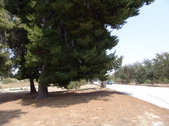 Enlarge photo 45