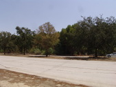 Enlarge photo 46