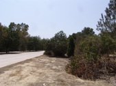 Enlarge photo 48
