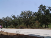 Enlarge photo 49