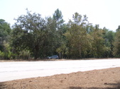 Enlarge photo 50