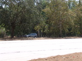 Enlarge photo 51