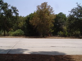 Enlarge photo 52