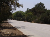 Enlarge photo 54