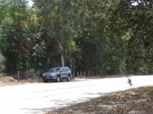 Enlarge photo 55