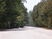 Enlarge photo 59