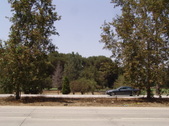 Enlarge photo 63