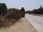 Enlarge photo 65