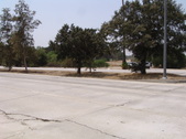 Enlarge photo 64