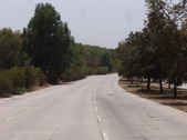 Enlarge photo 69