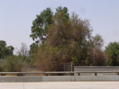 Enlarge photo 82