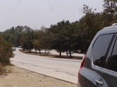 Enlarge photo 84