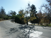 ANGELS POINT ROAD BY ELYSIAN PARK DR