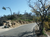 Enlarge photo 31