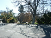 Enlarge photo 33