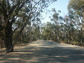 ELYSIAN PARK ROADS