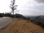 Enlarge photo 14