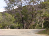 Enlarge photo 39