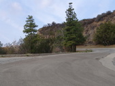 Enlarge photo 43