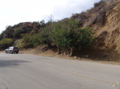 Enlarge photo 49