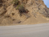 Enlarge photo 50