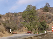 Enlarge photo 52