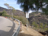 Enlarge photo 59