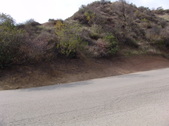 Enlarge photo 66