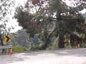 Enlarge photo 69