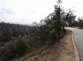 Enlarge photo 72