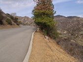 Enlarge photo 75