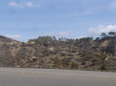 Enlarge photo 78