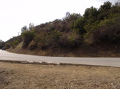 Enlarge photo 81