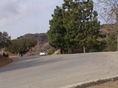 Enlarge photo 86