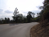 Enlarge photo 99