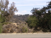 Enlarge photo 104