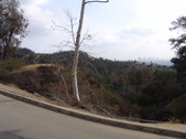 Enlarge photo 109