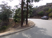 Enlarge photo 110