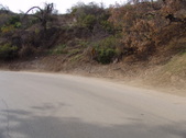 Enlarge photo 111